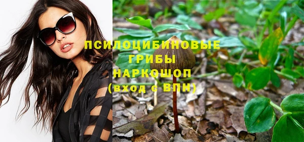 метадон Арсеньев