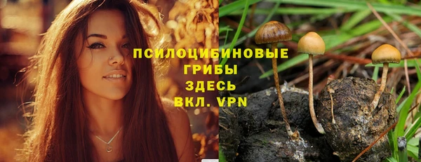 дживик Аркадак