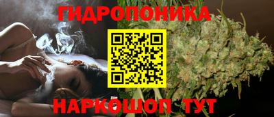mdma Аргун