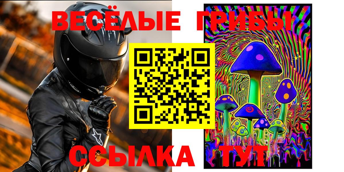 Псилоцибиновые грибы Psilocybe  Галлюциногенные грибы мицелий  Березники  Вход с VPN 