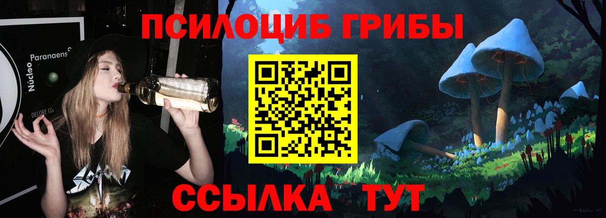 Псилоцибиновые грибы ЛСД Березники
